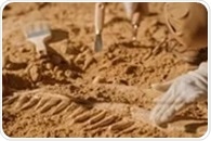 Looking to the Past: What Fossilized Tissues Can Teach Us About Modern Illness