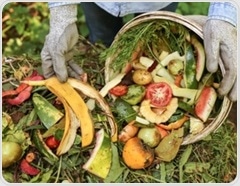 How composting protects public health and our planet