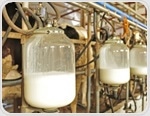 Researchers warn of bird flu survival in raw milk