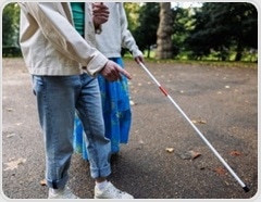 AI transforms sightseeing for visually impaired users
