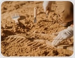Looking to the Past: What Fossilized Tissues Can Teach Us About Modern Illness