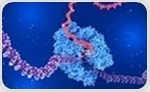 Study Reveals RNA Polymerase I Stalling Mechanism at Abasic DNA Damage Sites