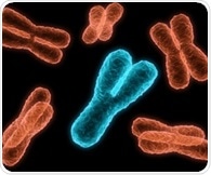 Maternal iron deficiency disrupts embryonic sex determination in mice