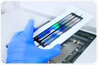 AI for Decoding Gene Expression and Cellular Behavior