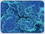 Exploring innovations in industrial biopolymers