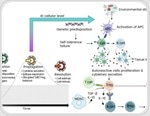 Exploring cytokine networks in autoimmune diseases and advances in therapy