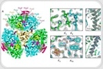 Decoding a 3-Billion-Year-Old Cyanobacterial Nanodevice
