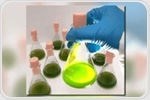 Tailored Cultivation of the Light-Sensitive Alga Chlamydomonas reinhardtii