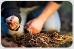 Metagenomic Study Examines Combined Effects of Global Change on Soil Microbes