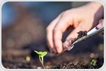 Collagen and Chitin Amendments Support Soil Microbes to Control Nematode Infections