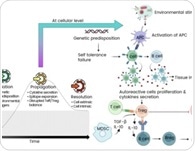 Exploring cytokine networks in autoimmune diseases and advances in therapy