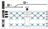Quantum Machine Learning in Forensic and Medical Imaging