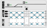 Quantum Machine Learning in Forensic and Medical Imaging
