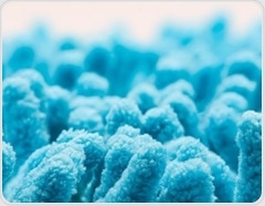 Gut microbe emerges as a promising tool in the fight against COVID-19