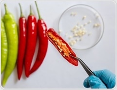 Do spicy foods help or hurt your gut health?