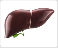 Improving fatty liver diagnosis through AI analysis of standard chest radiographs