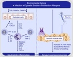 Breakthroughs in asthma therapy