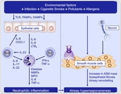 Breakthroughs in asthma therapy