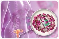 Eating habits directly influence vaginal microbiome, research finds