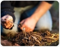 Metagenomic Study Examines Combined Effects of Global Change on Soil Microbes