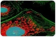 SNAP-tag2 System Improves Protein Imaging with Faster, Brighter Labeling