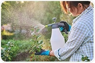 Engineered for Defence: How Modified Microbes are Becoming the New Biopesticides