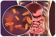 Dynamic mapping exposes hidden dynamics of gut microbiome