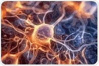 Scientists uncover key role of cypin in strengthening brain cell connections