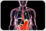 Uncovering how a key inflammatory molecule causes esophageal smooth muscle contractions