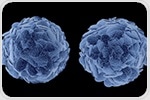 New monoclonal antibody enhances immune response by selectively targeting Tregs