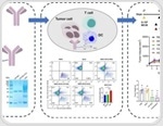 Mitigation of β-glucan interference in endotoxin detection