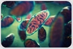 Muscle-derived vesicles heal damaged cells and reverse disease in new study