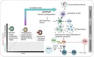 The role of cytokines in autoimmune disease progression and therapy