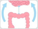 Navigating IBS: Causes, impact and diagnosis