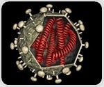 Single injection of gene therapy at birth may offer lasting protection against HIV