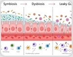 How a leaky gut could be putting your heart at risk
