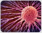 Blocking a single gene disrupts vitamin D metabolism and cancer pathways in new cell study