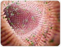 Gut mycobiota could help predict disability in multiple sclerosis