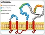 Multi-pass transmembrane proteins as key targets for cutting-edge R&D