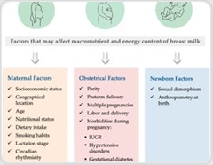 Can your diet and health change your breast milk? Review uncovers the key maternal and birth factors