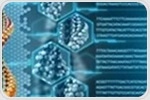 Researchers trace metabolic superpowers of hibernators to shared DNA