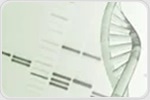 New Genetic Research Reveals Hibernation Secrets Hidden in Human DNA