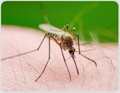 Gene-edited mosquitoes block malaria transmission