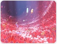 Gut pathogens override chemical repulsion and invade