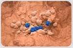 CD276 Antibody Strategy Offers Hope For Immune-Resistant Lung Tumors