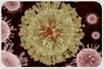 Dengue antibody may block the spread of Zika virus in vulnerable areas of the body