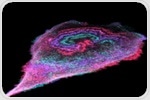 New Insights into Cell Membrane Energy Waves