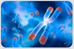 Liquid “Shock Absorber” Protecting DNA During Cell Division