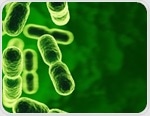 Scientists link gut microbes to stronger muscles and healthier aging