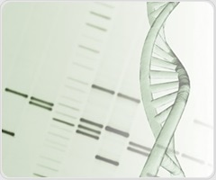 Tenofovir amibufenamide shows efficacy in chronic hepatitis B patients with normal ALT
